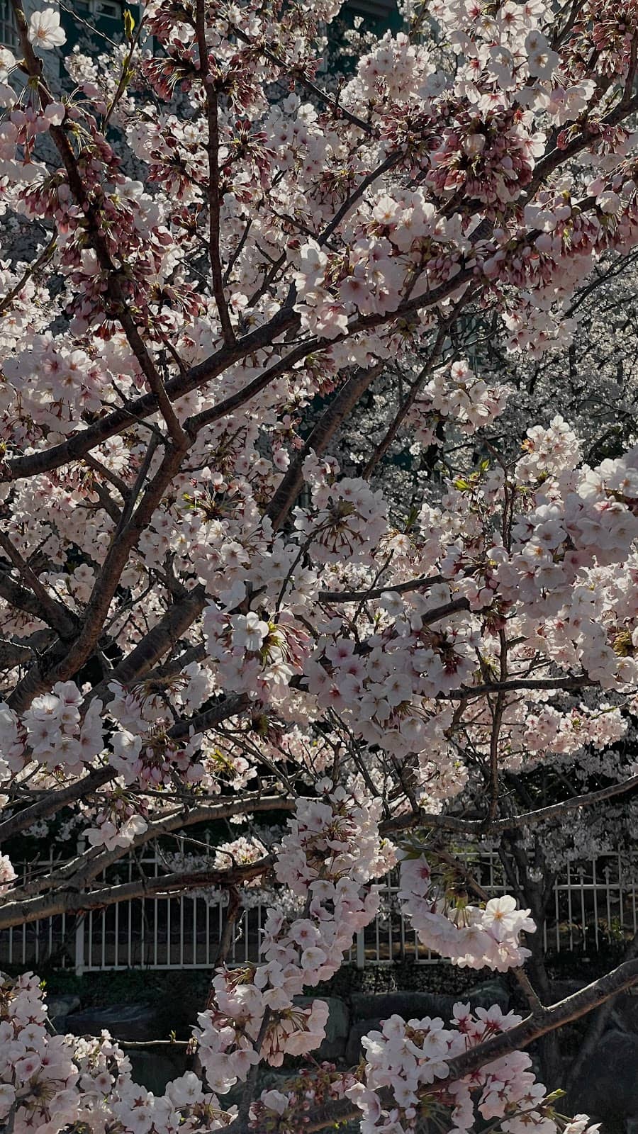Jinhae NFRDI Environment Eco-Park