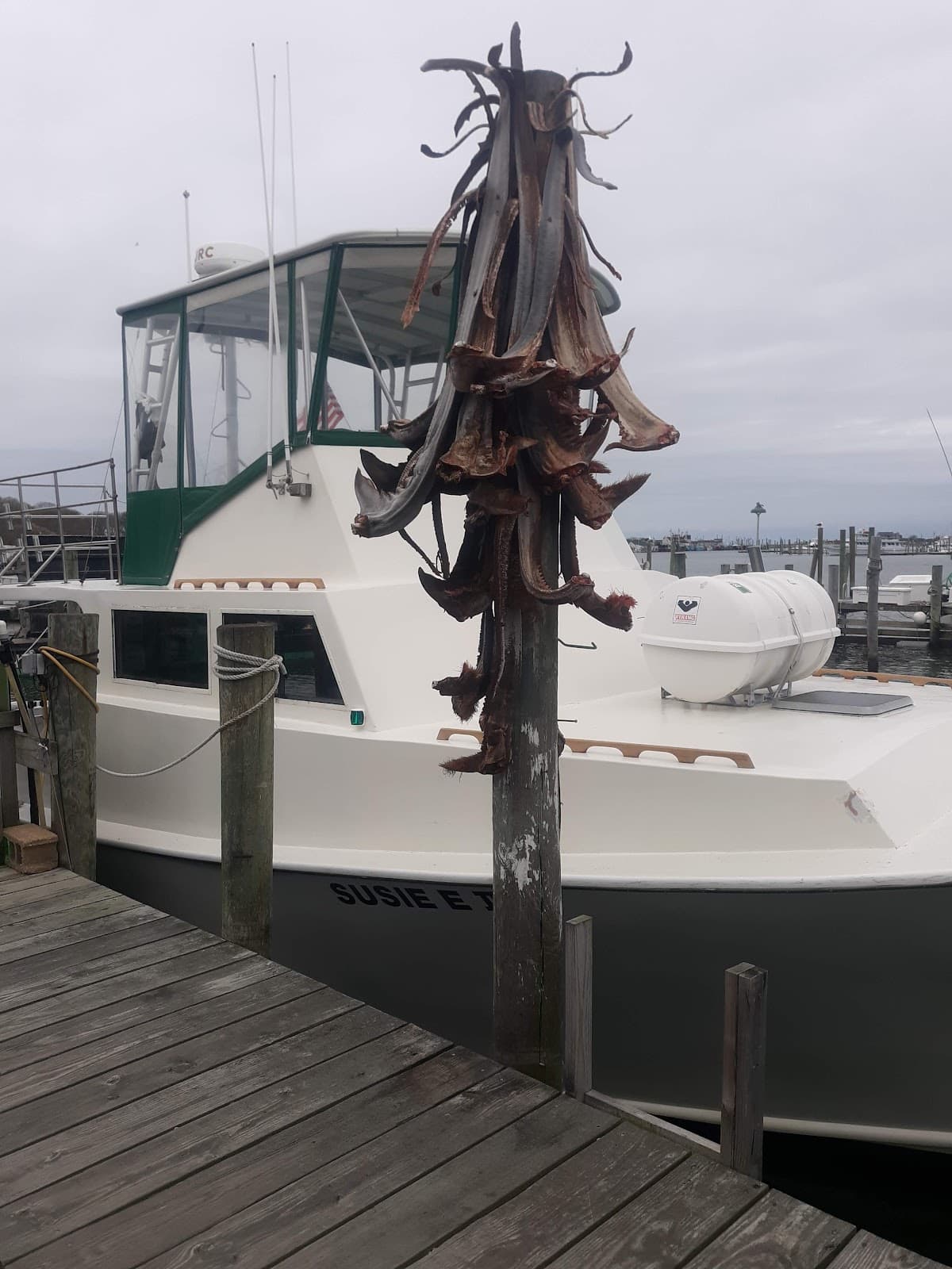 Star Island Lake Montauk - Image 1