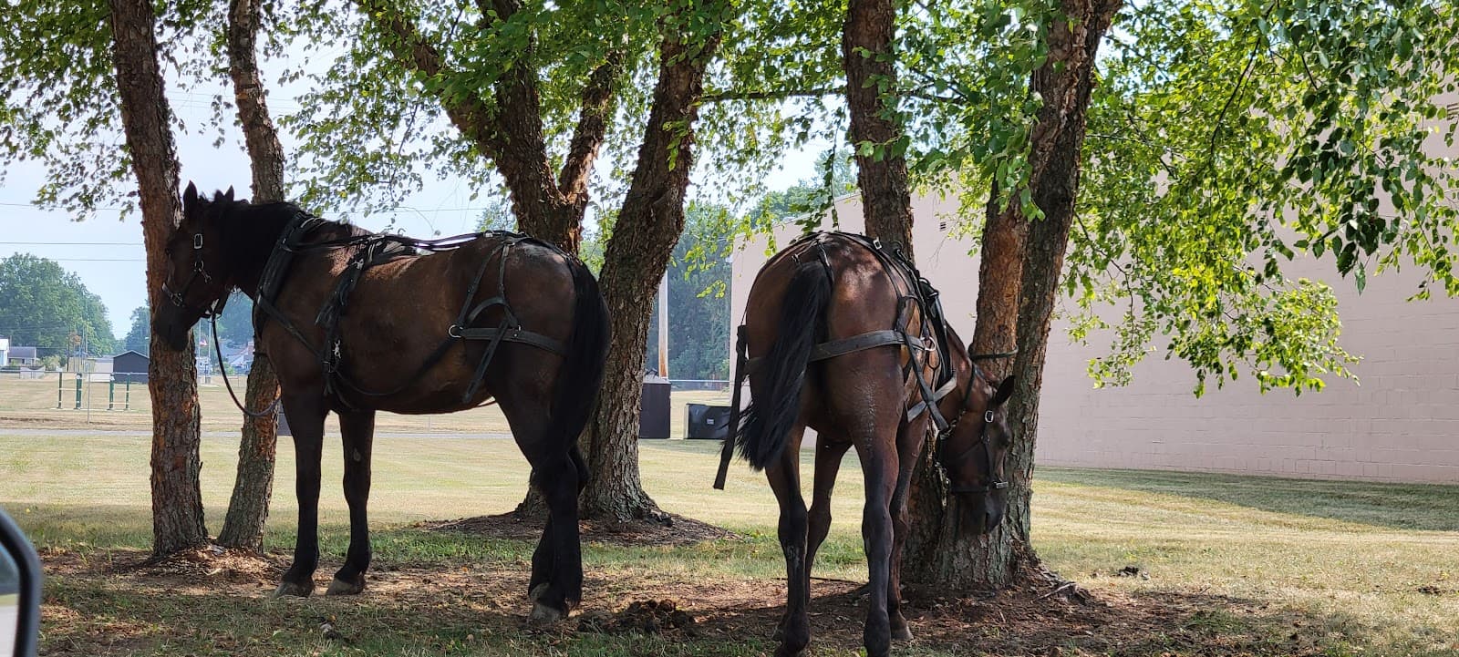 Ashland Downtown Historic District - Image 1