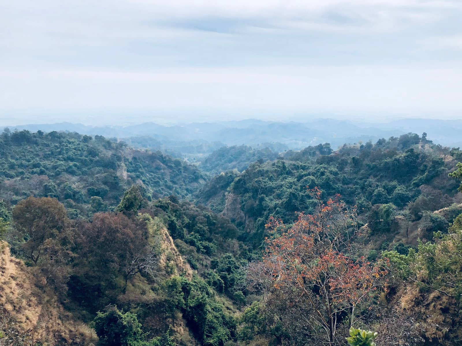 Unspoiled Natural Beauty