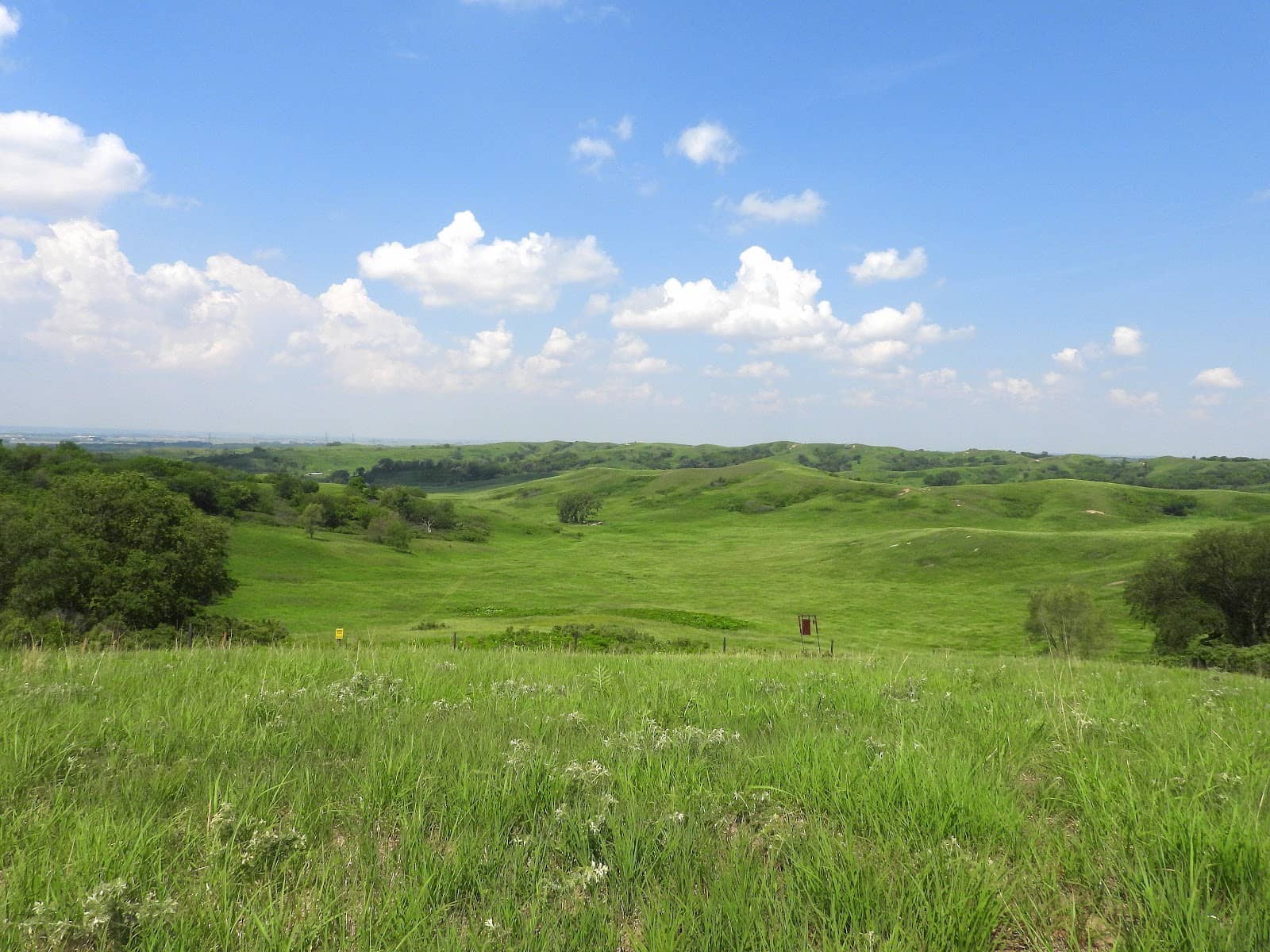 Stevenson Preserve Trail
