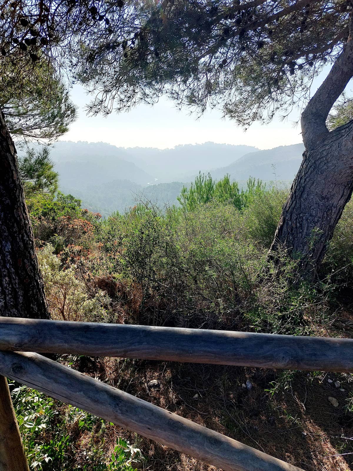 Vertical photo