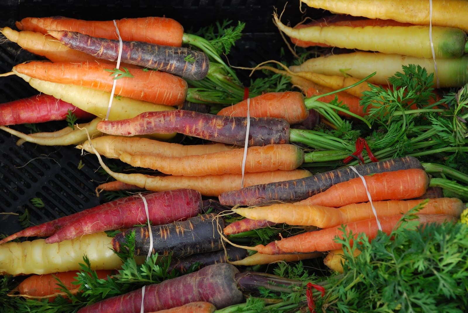 Sang Lee Farms - Image 1