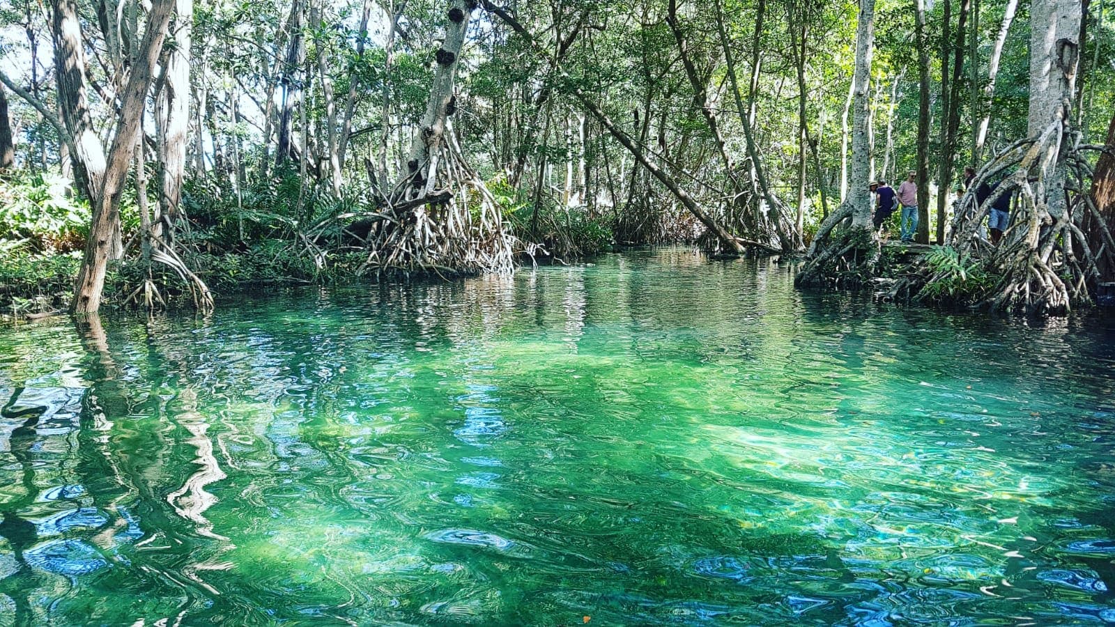 Celestún Biosphere Reserve Yucatán - Image 1