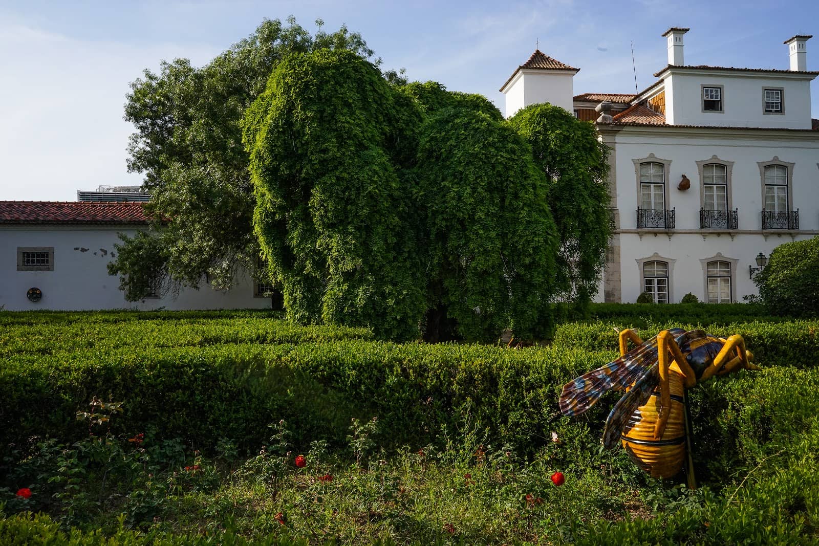 18th and 19th Century Lisbon