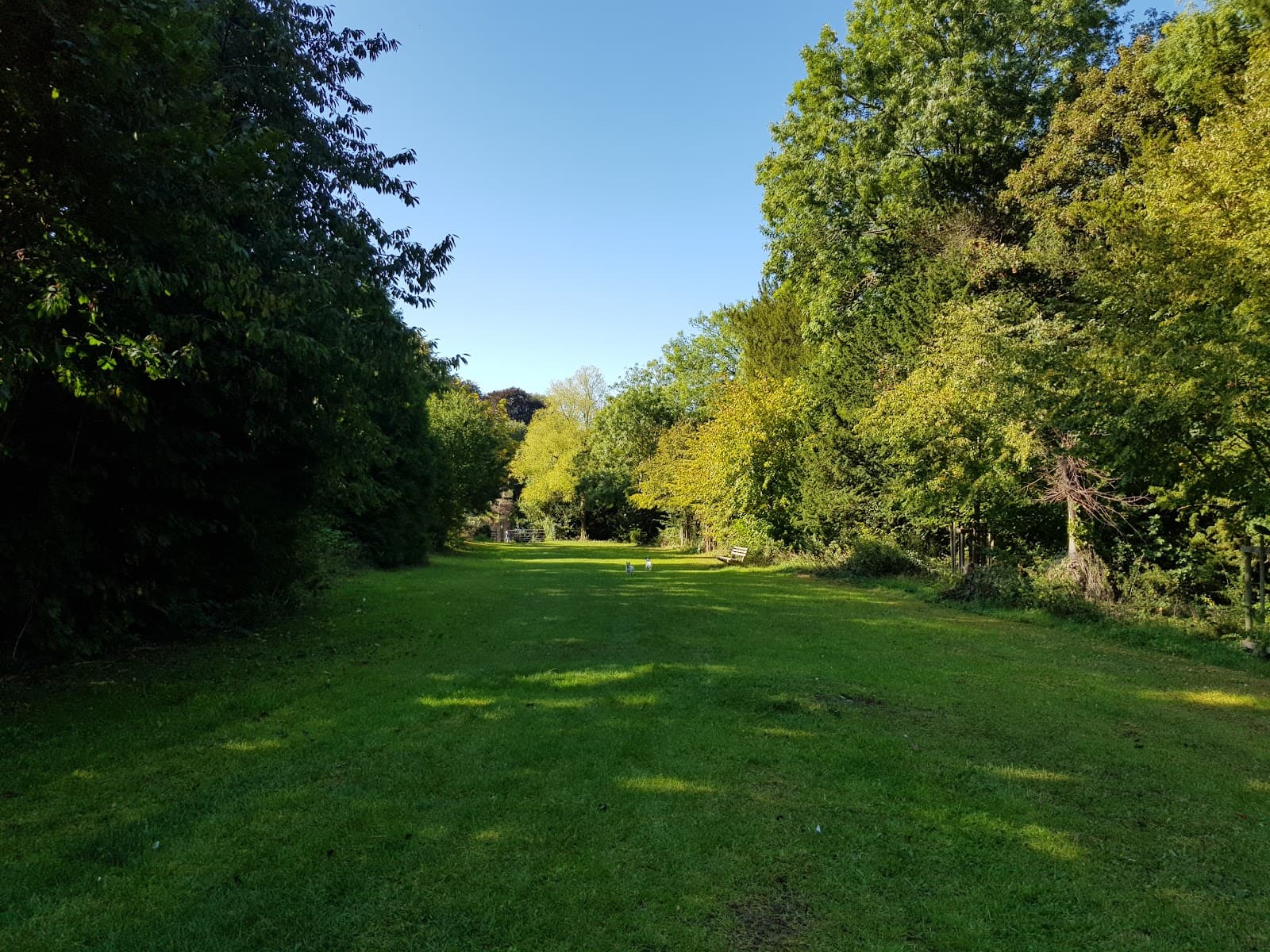 Blick Mead - Image 1