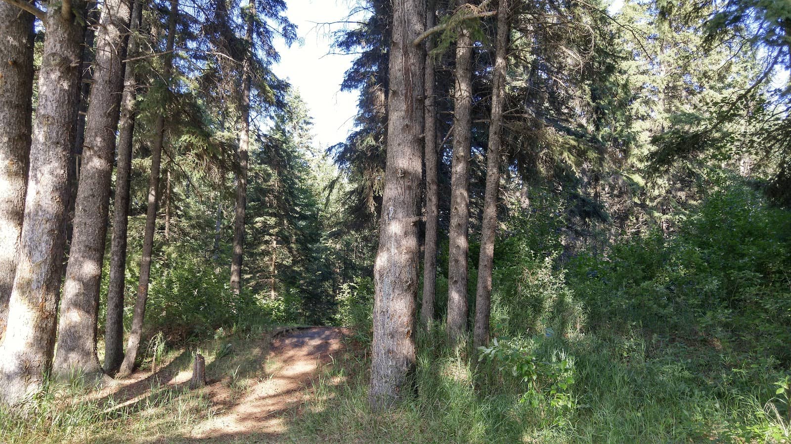 Vertical photo