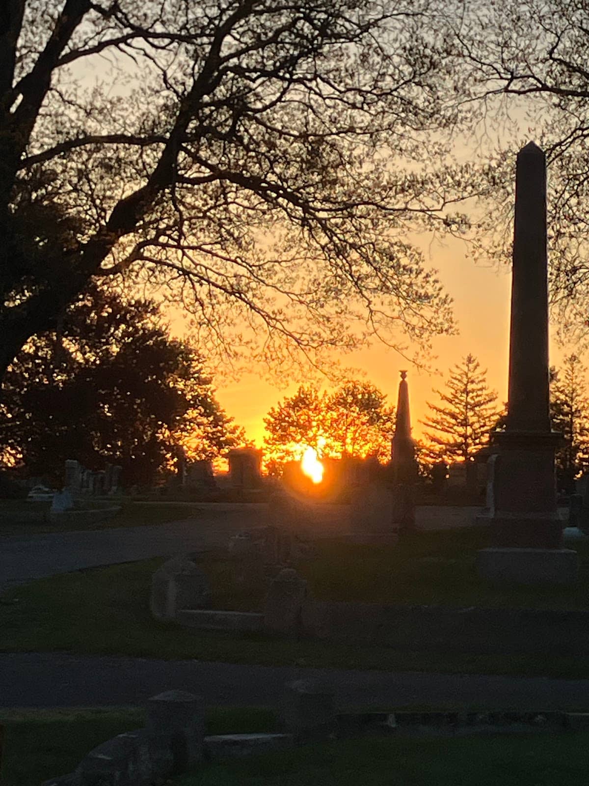 Confederate Soldier Section