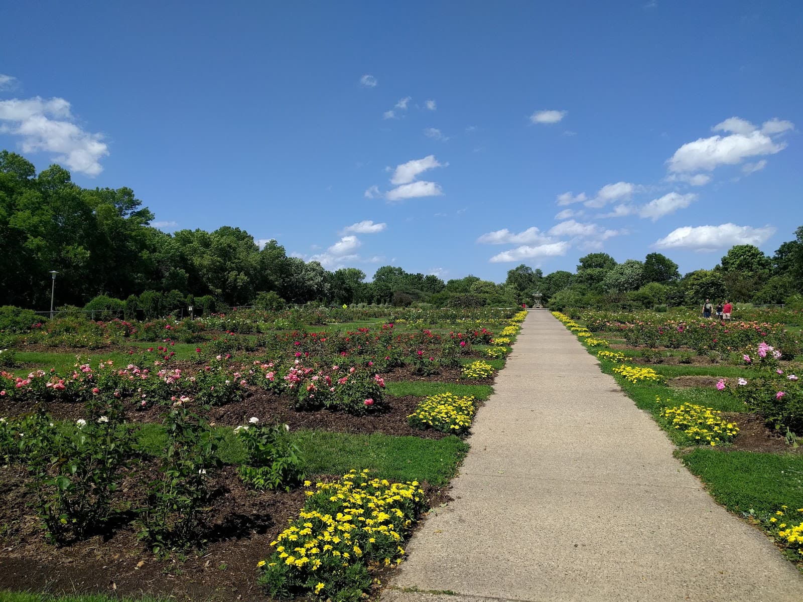 Lyndale Park Rose Garden - Image 1