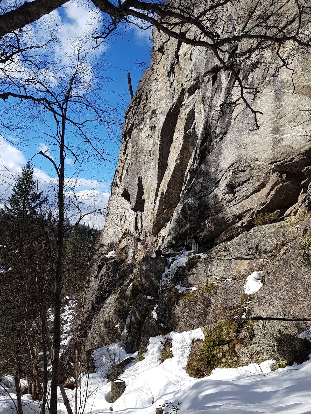 Vertical photo