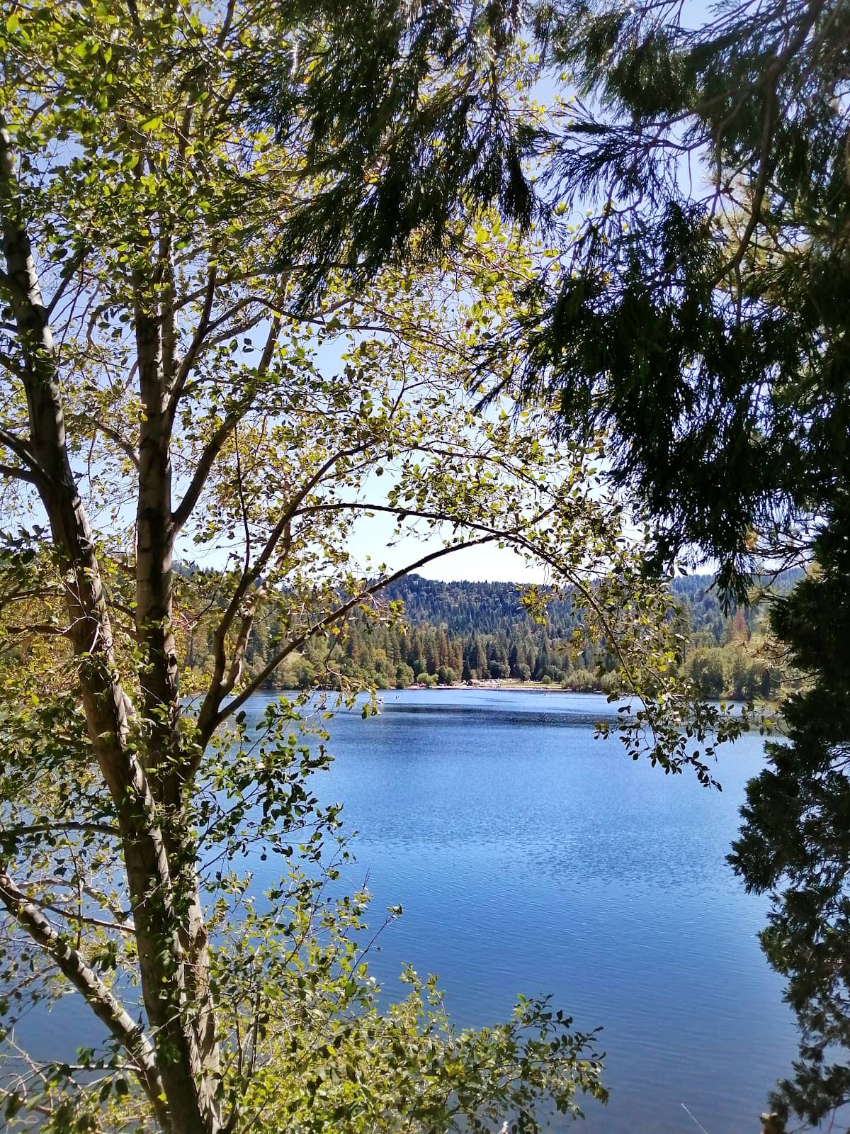 Vertical photo