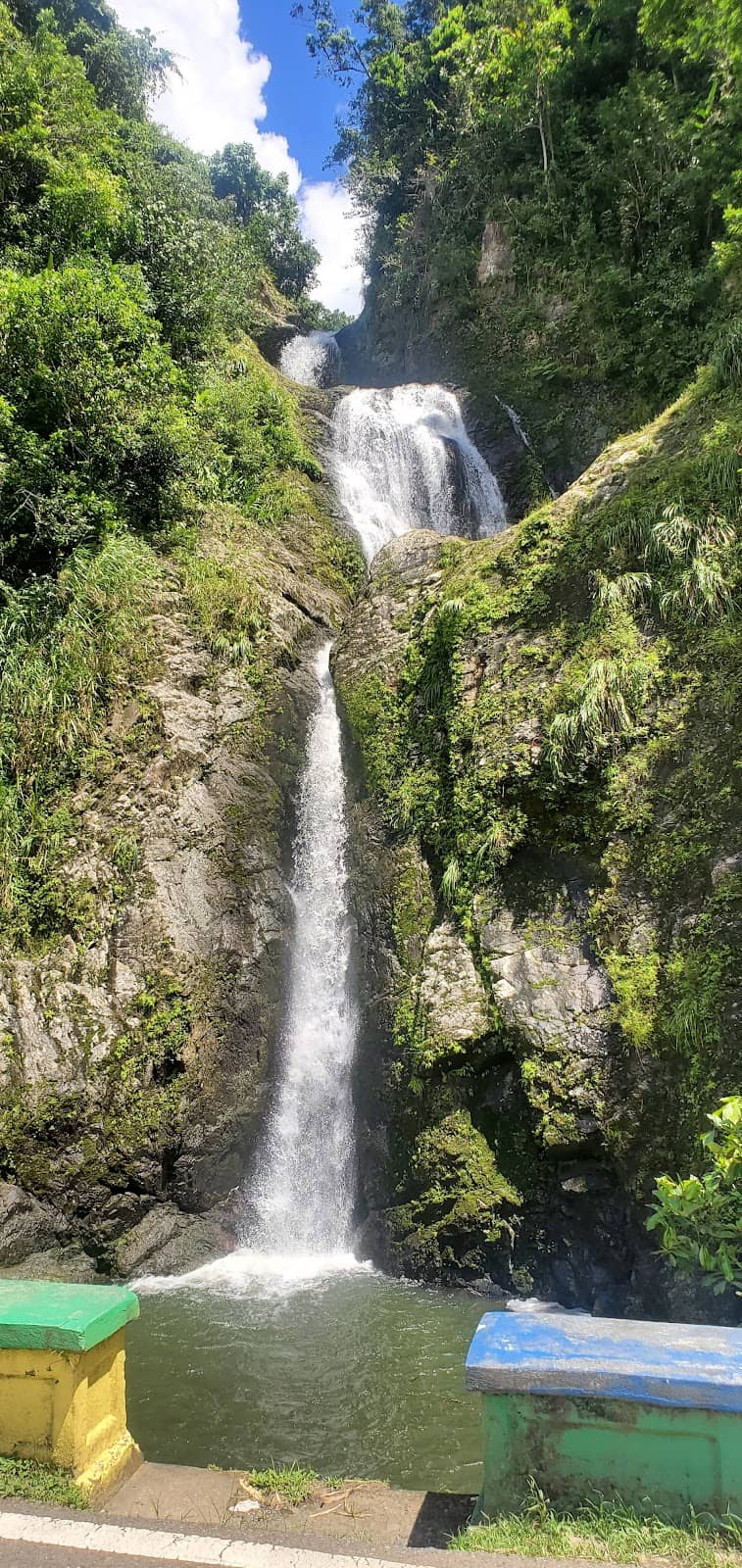 Vertical photo