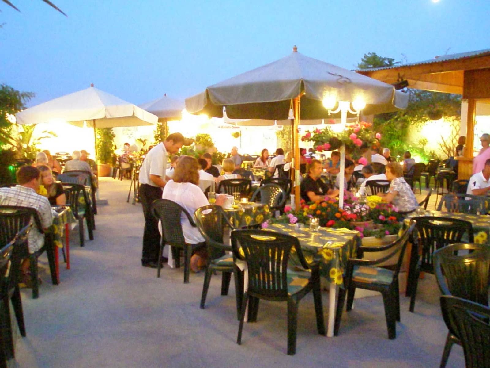Vibrant Eateries