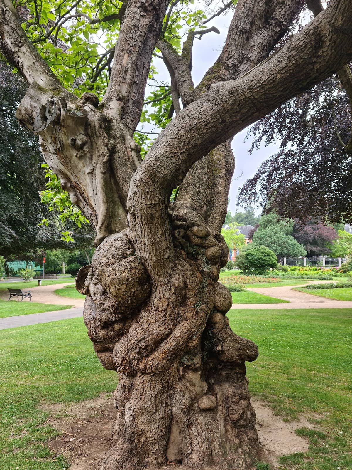 Expansive Green Lawns