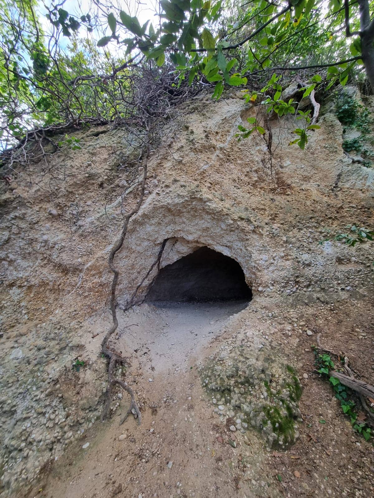 Vertical photo