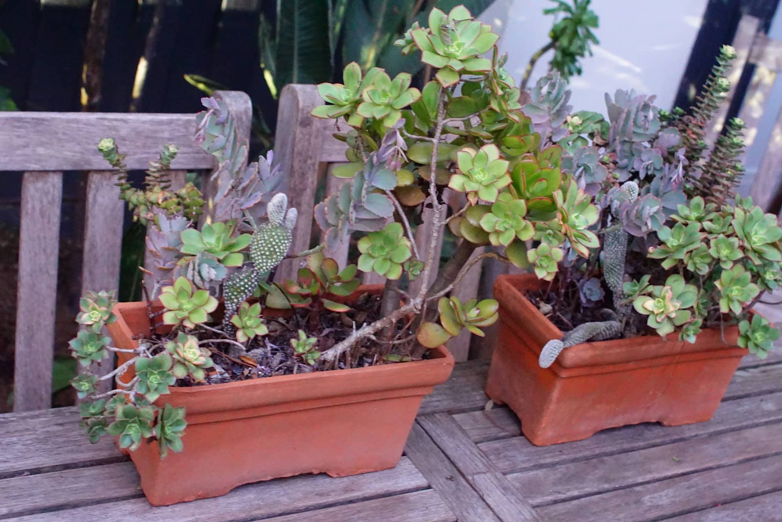 Local Cafes & Eateries