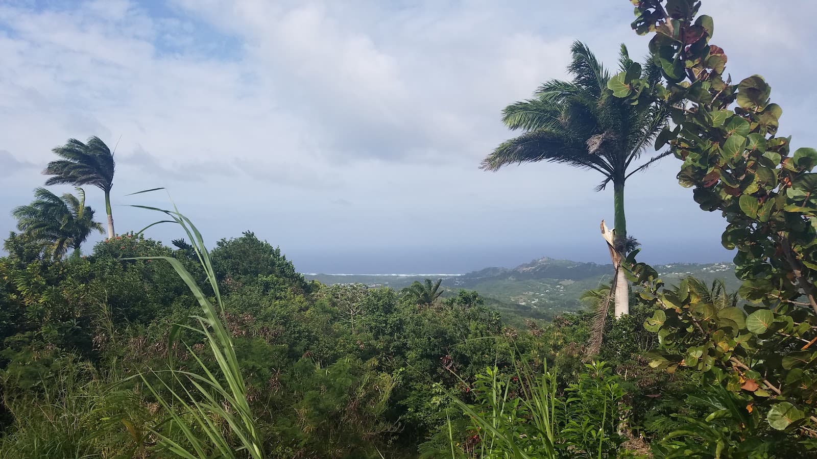 Mount Hillaby Barbados - Image 1
