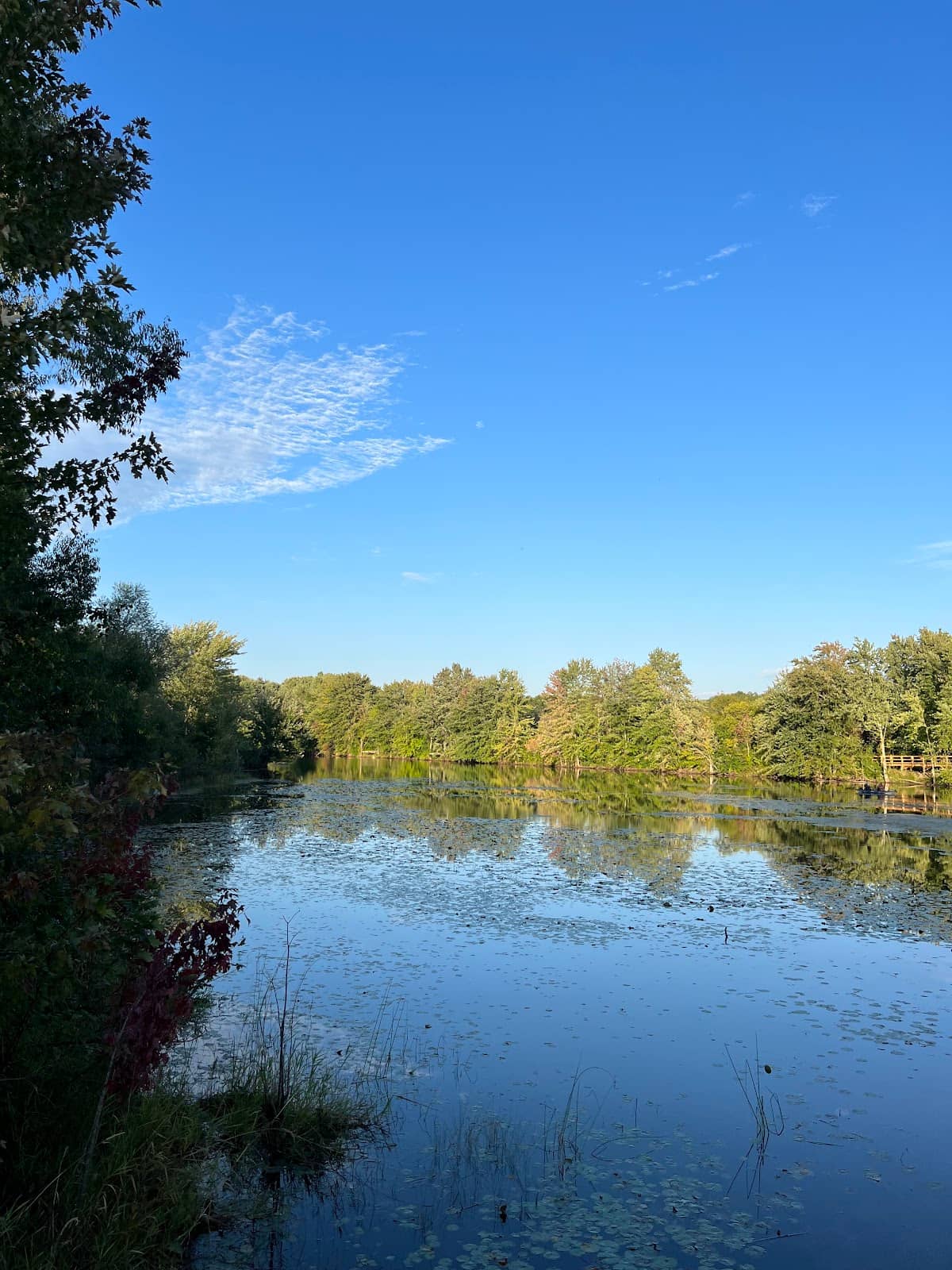 Scenic Walking Trails
