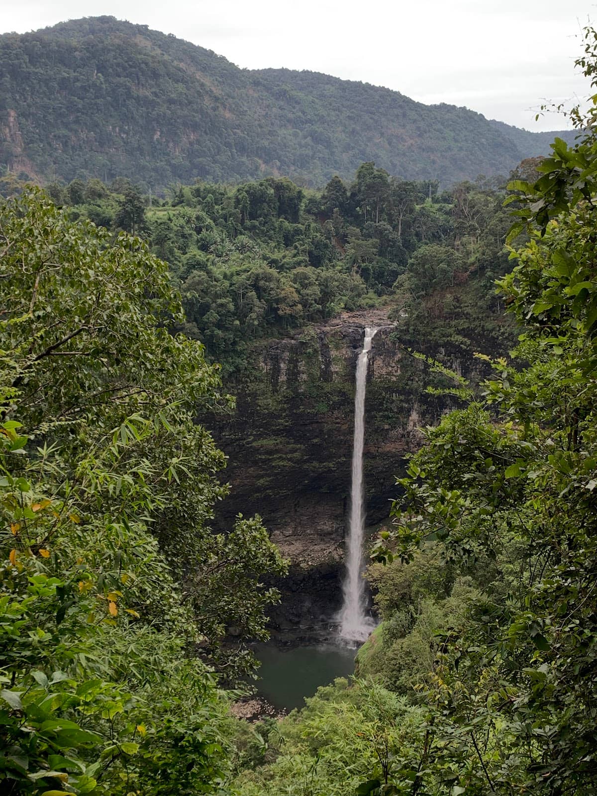 Vertical photo
