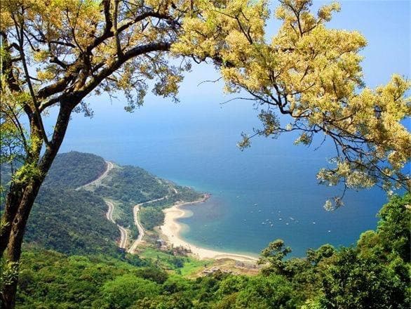 Bai But Beach Son Tra Peninsula - Image 1