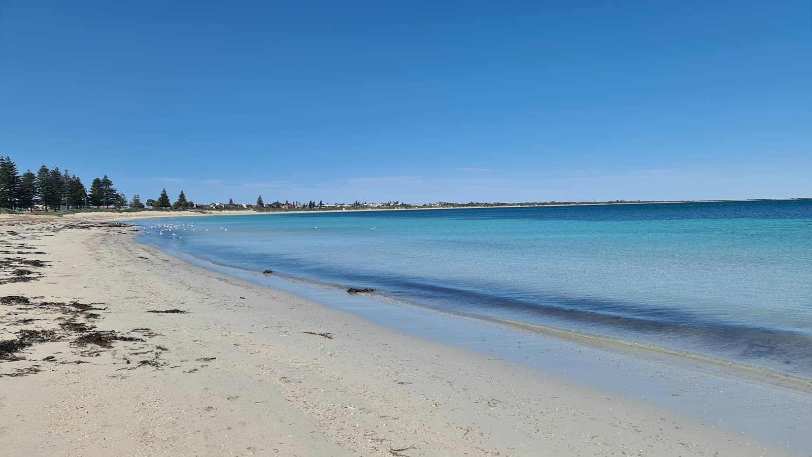 Family-Friendly Amenities