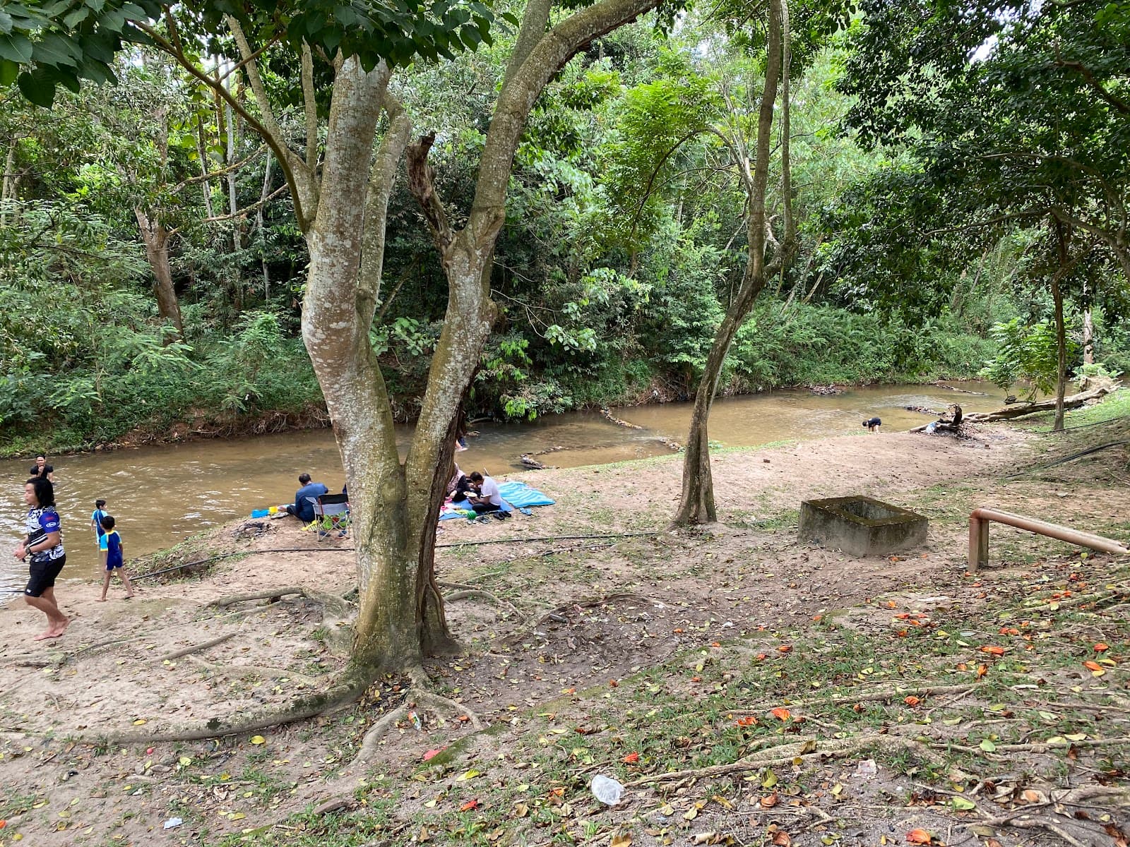 Templer Park Kuala Lumpur - Image 1
