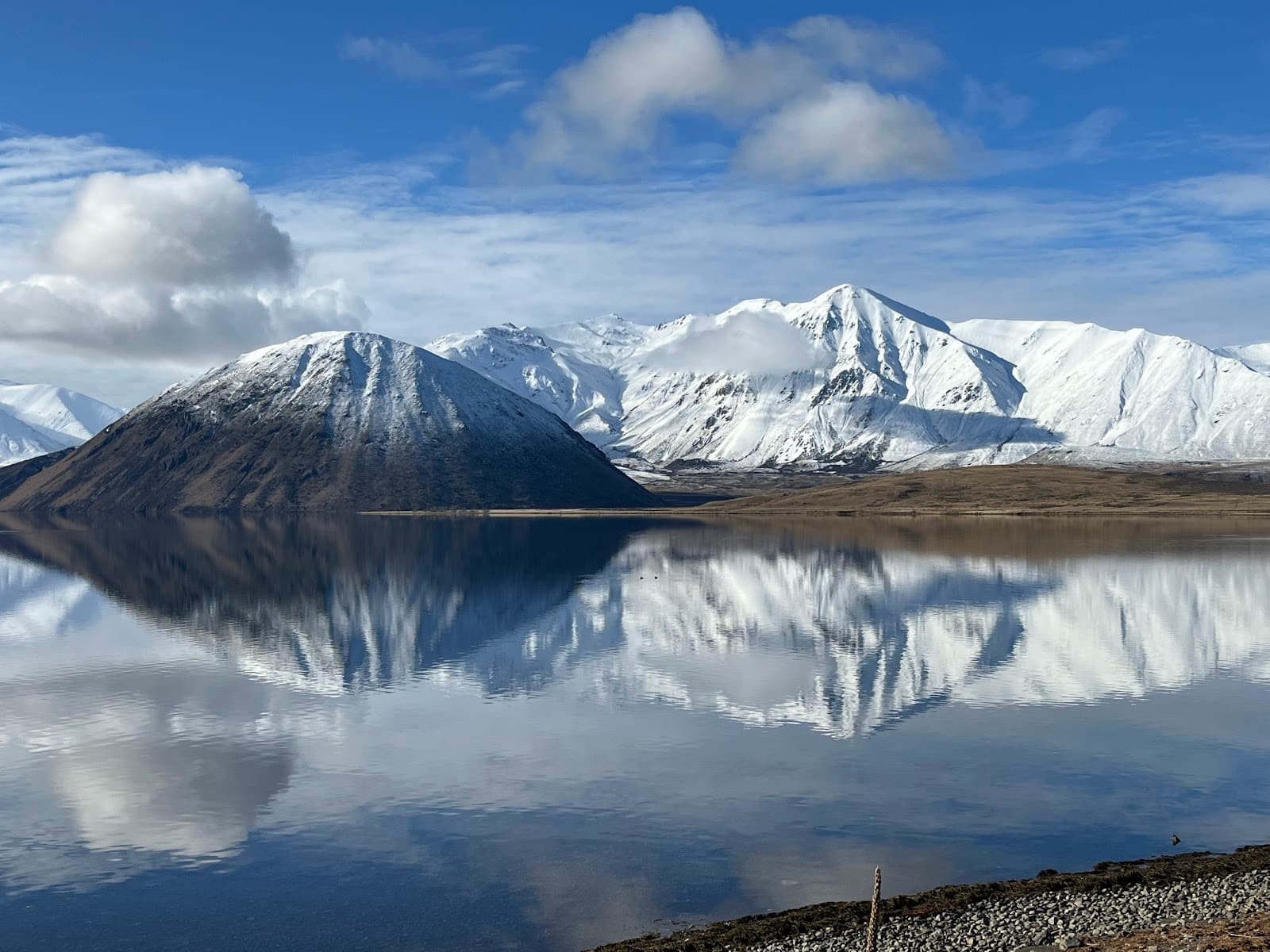 Lake Heron - Image 1