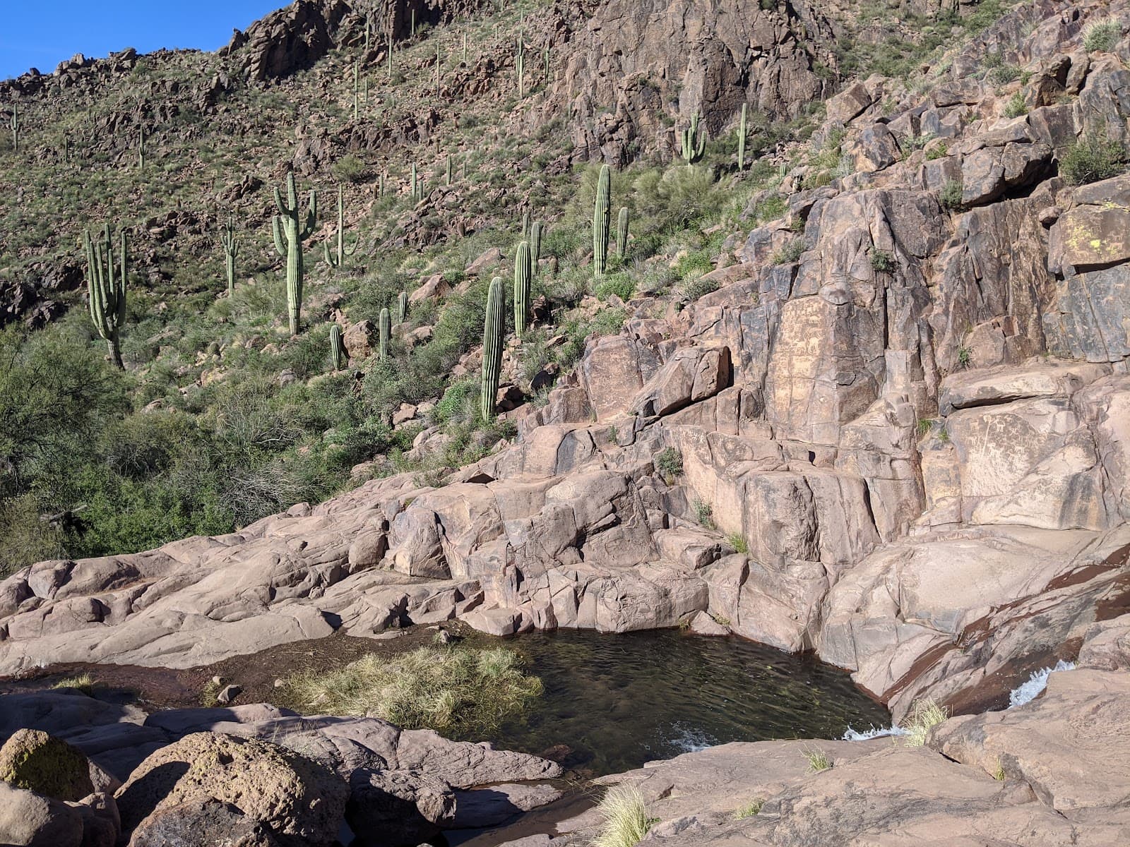 Hieroglyphic Trail - Image 1