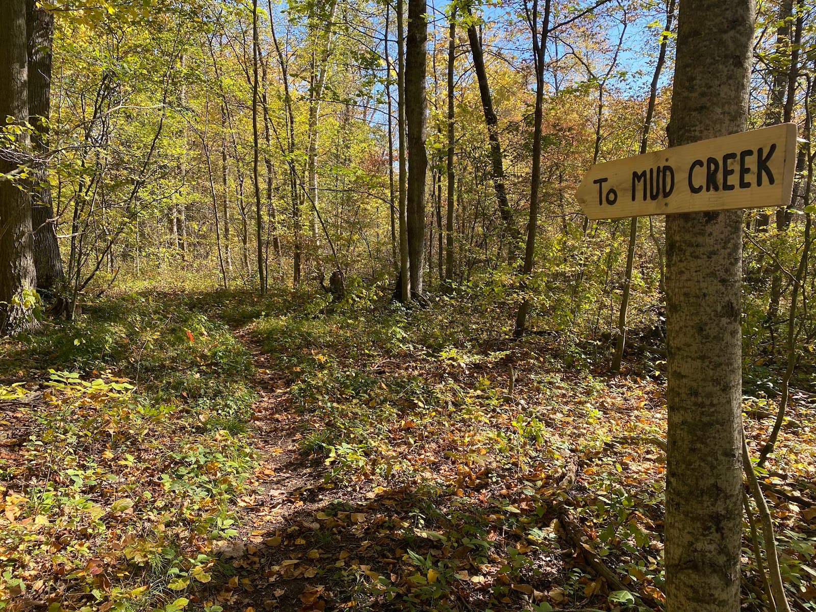 Port Franks Wetlands & Dunes - Image 1