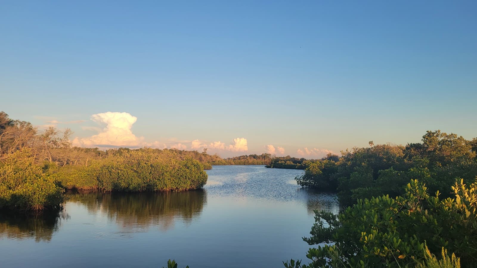 Ozello Trail Scenic Byway - Image 1