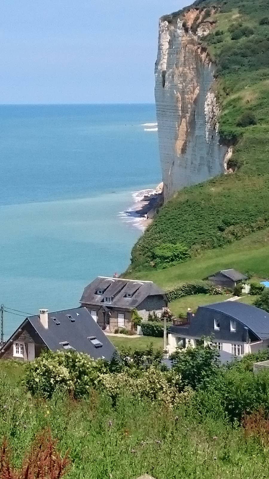 Vertical photo