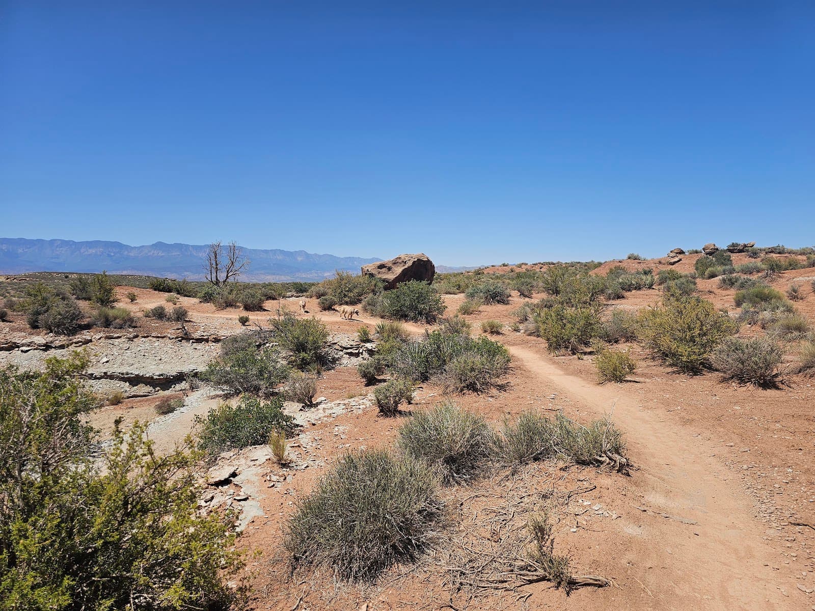 JEM Trail - Image 1