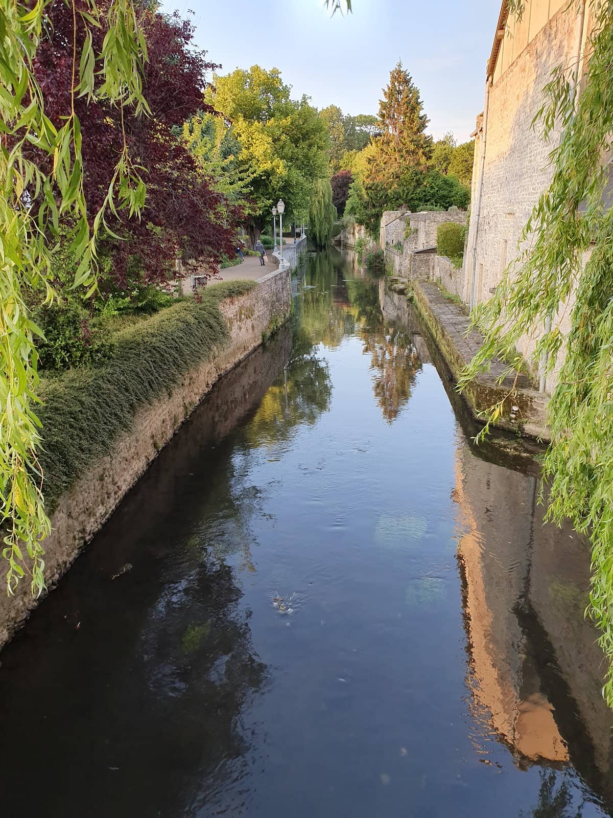 Vertical photo