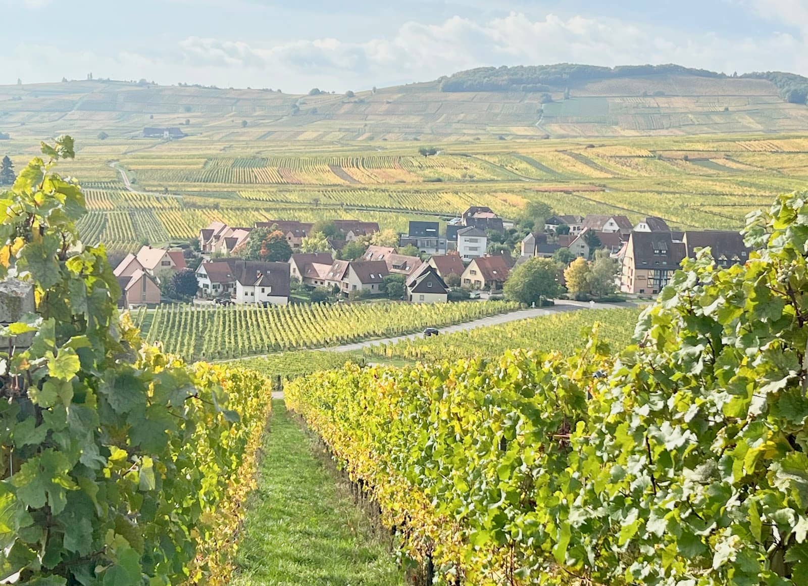 Panoramic Views of Riquewihr
