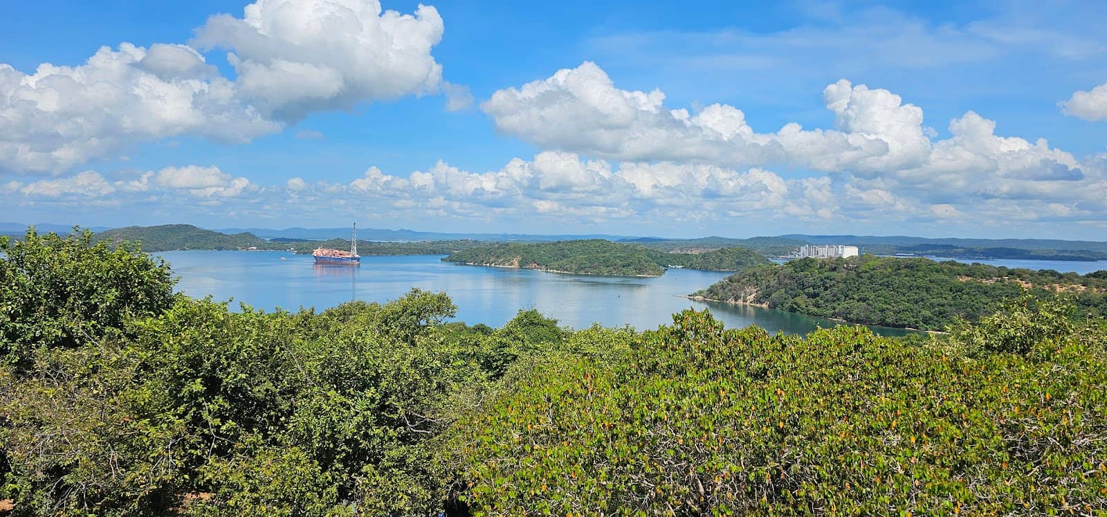Scenic Boat Tours