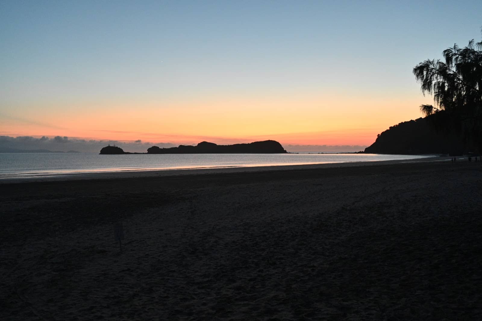 Coastal Rainforest Scenery