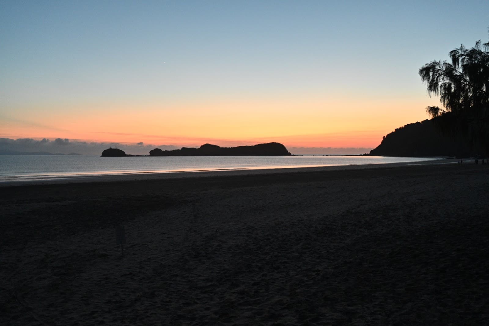 Casuarina Beach (Wallabies) - Image 1