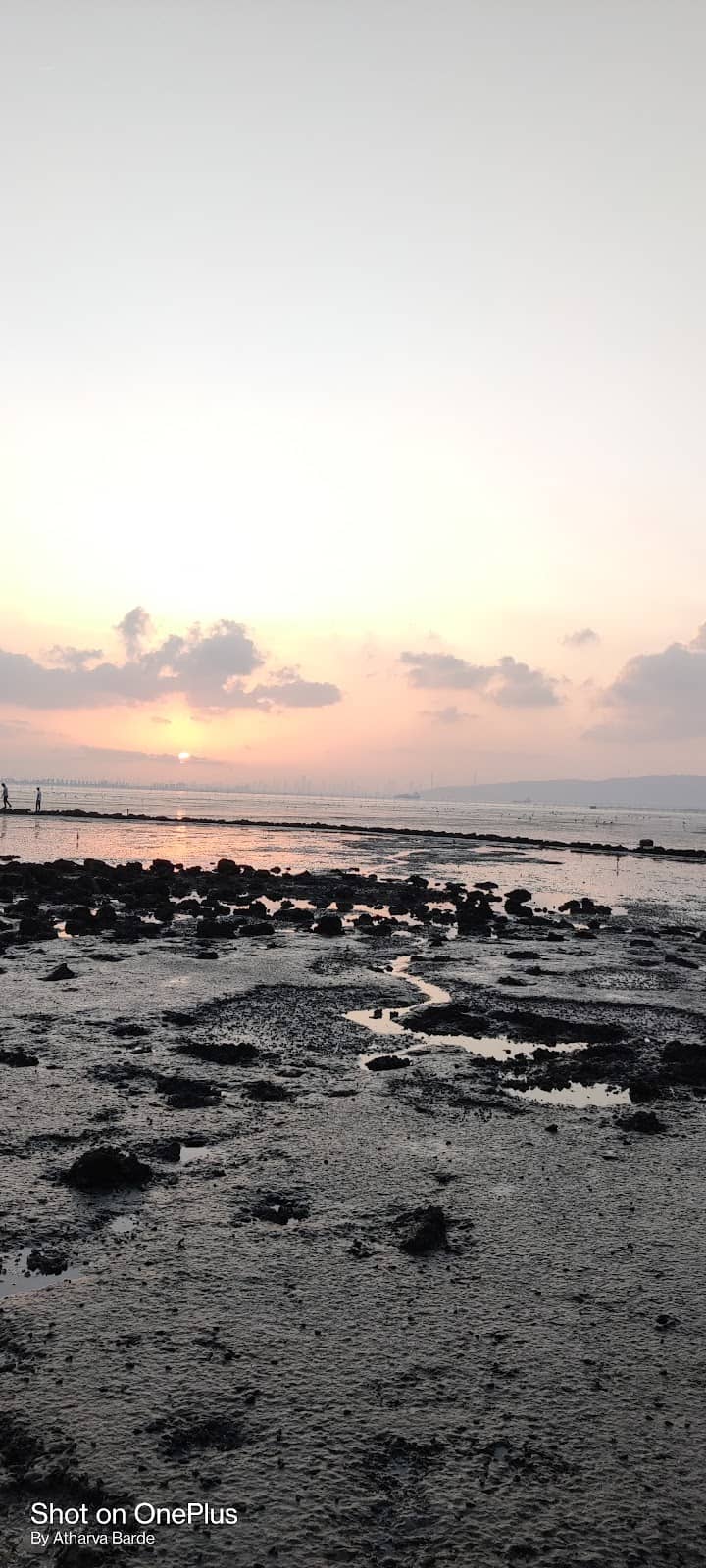 Peaceful Birdwatching