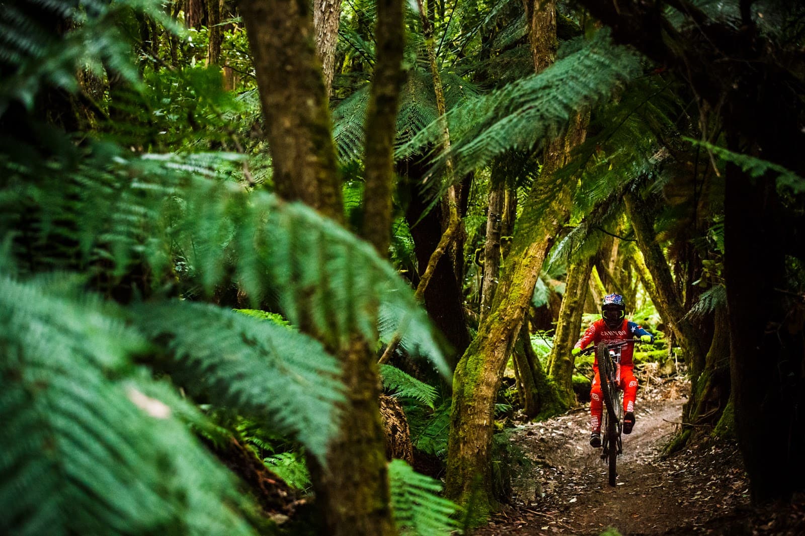 Maydena Bike Park - Image 1