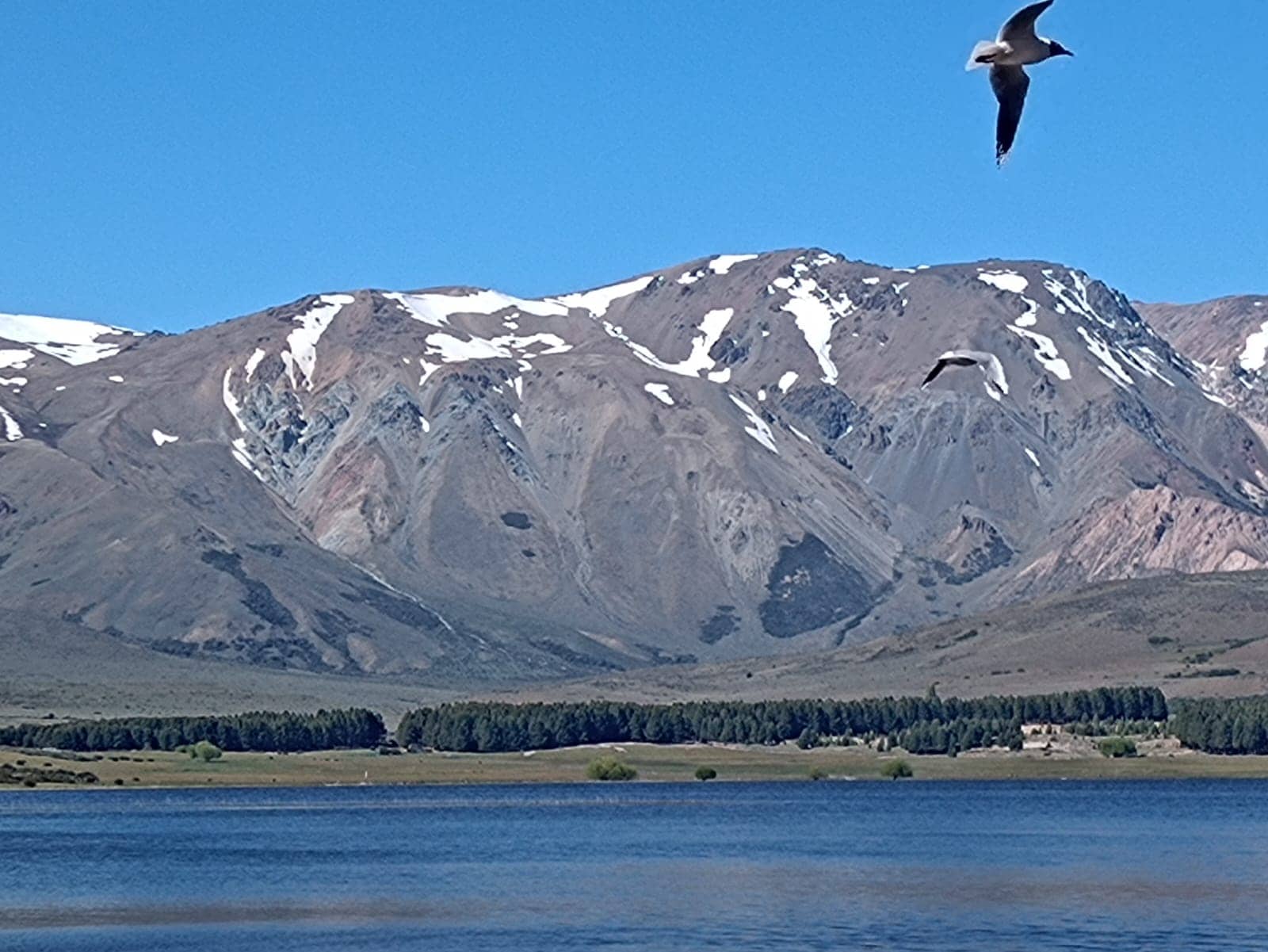Third hero image