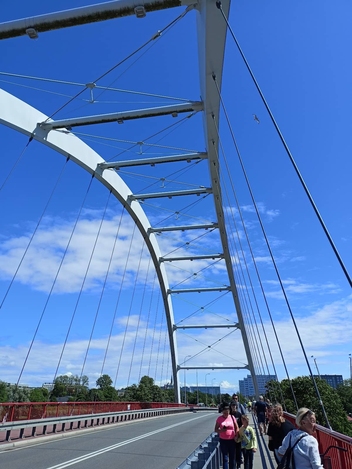 Vertical photo