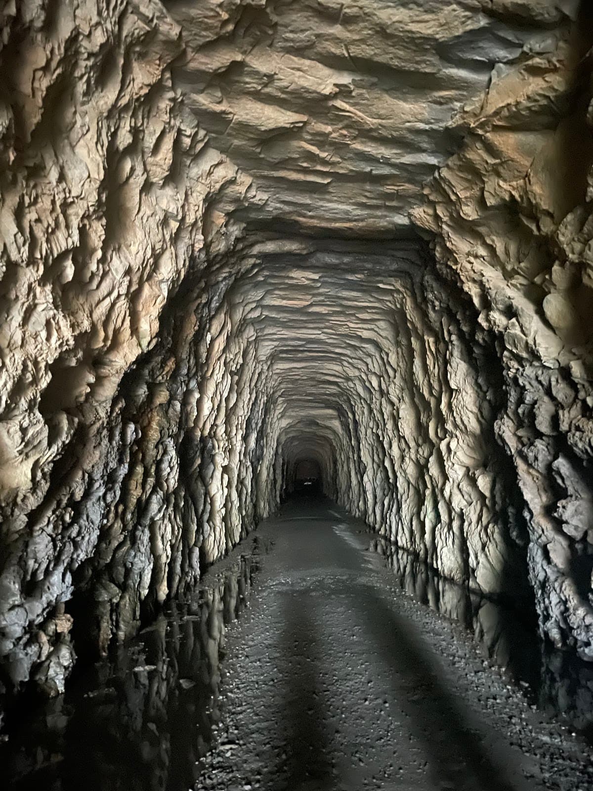 Stumphouse Tunnel - Image 1