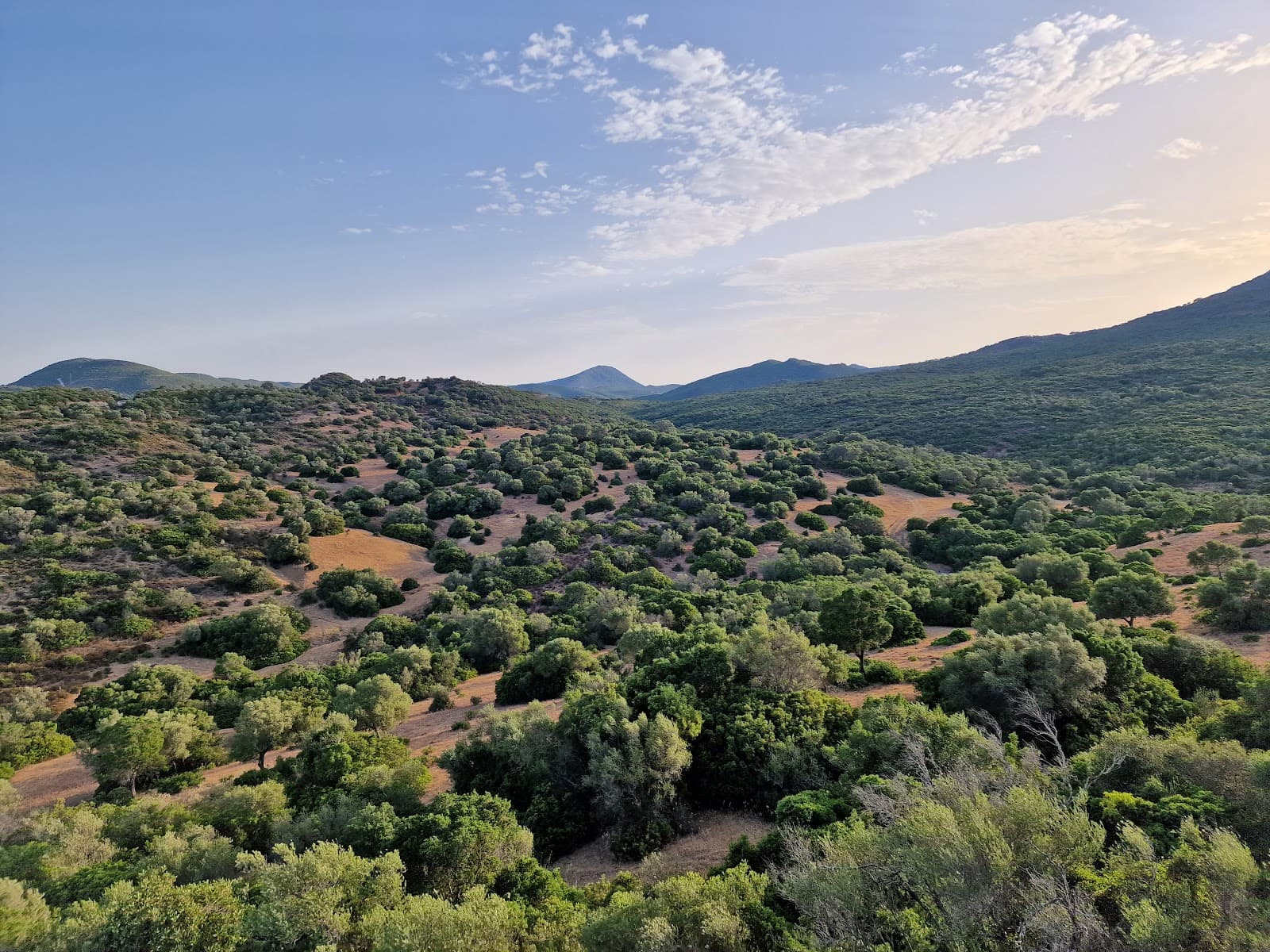 Los Alcornocales Natural Park (Algeciras) - Image 1