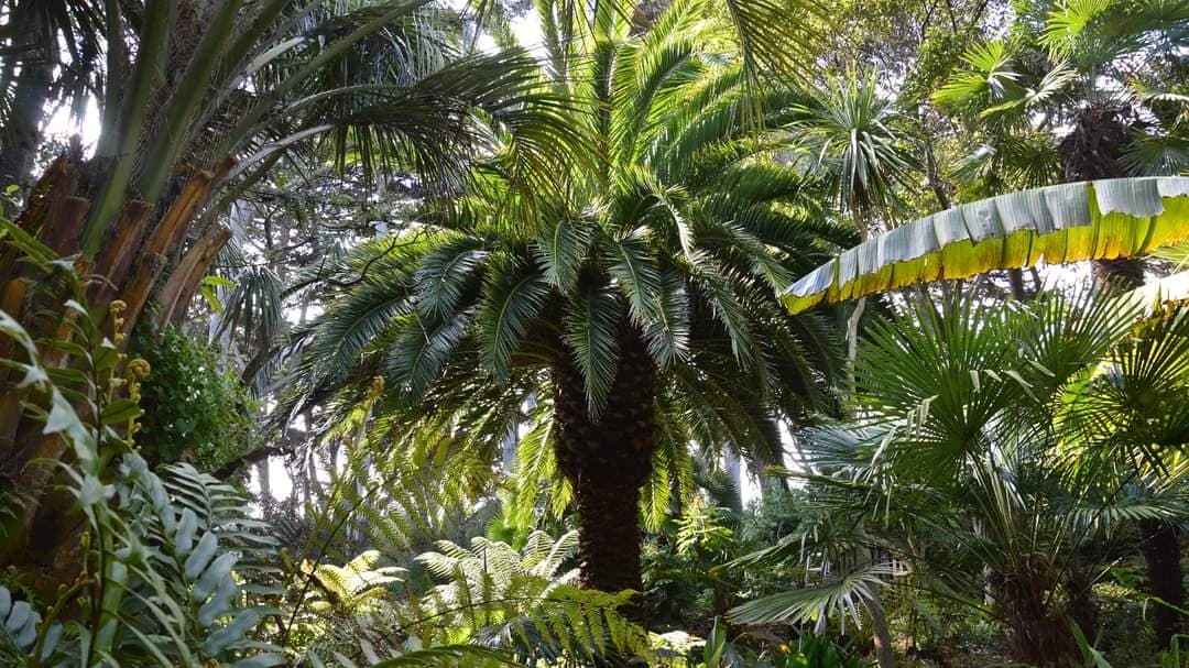 Jardin Georges Delaselle - Image 1