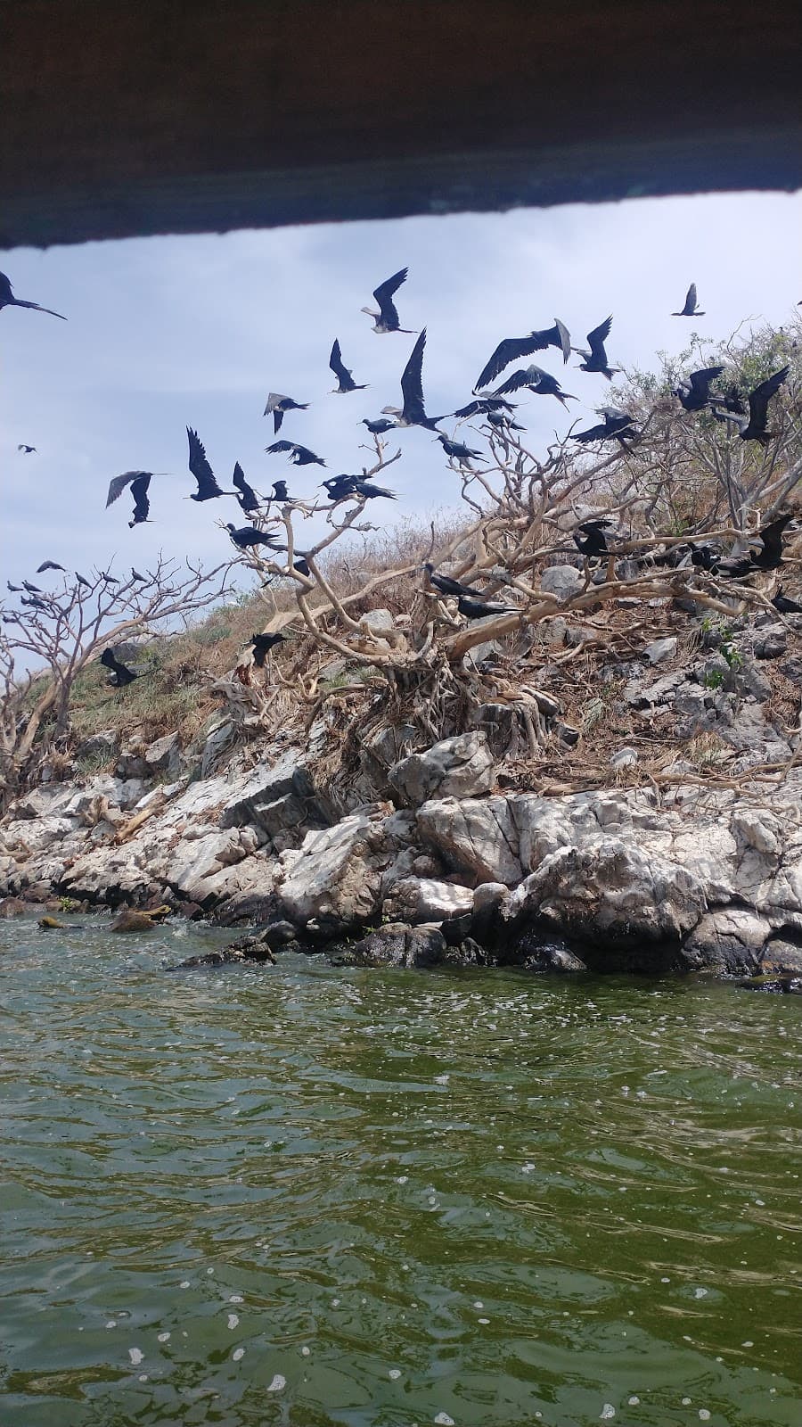Laguna de Coyuca - Image 1