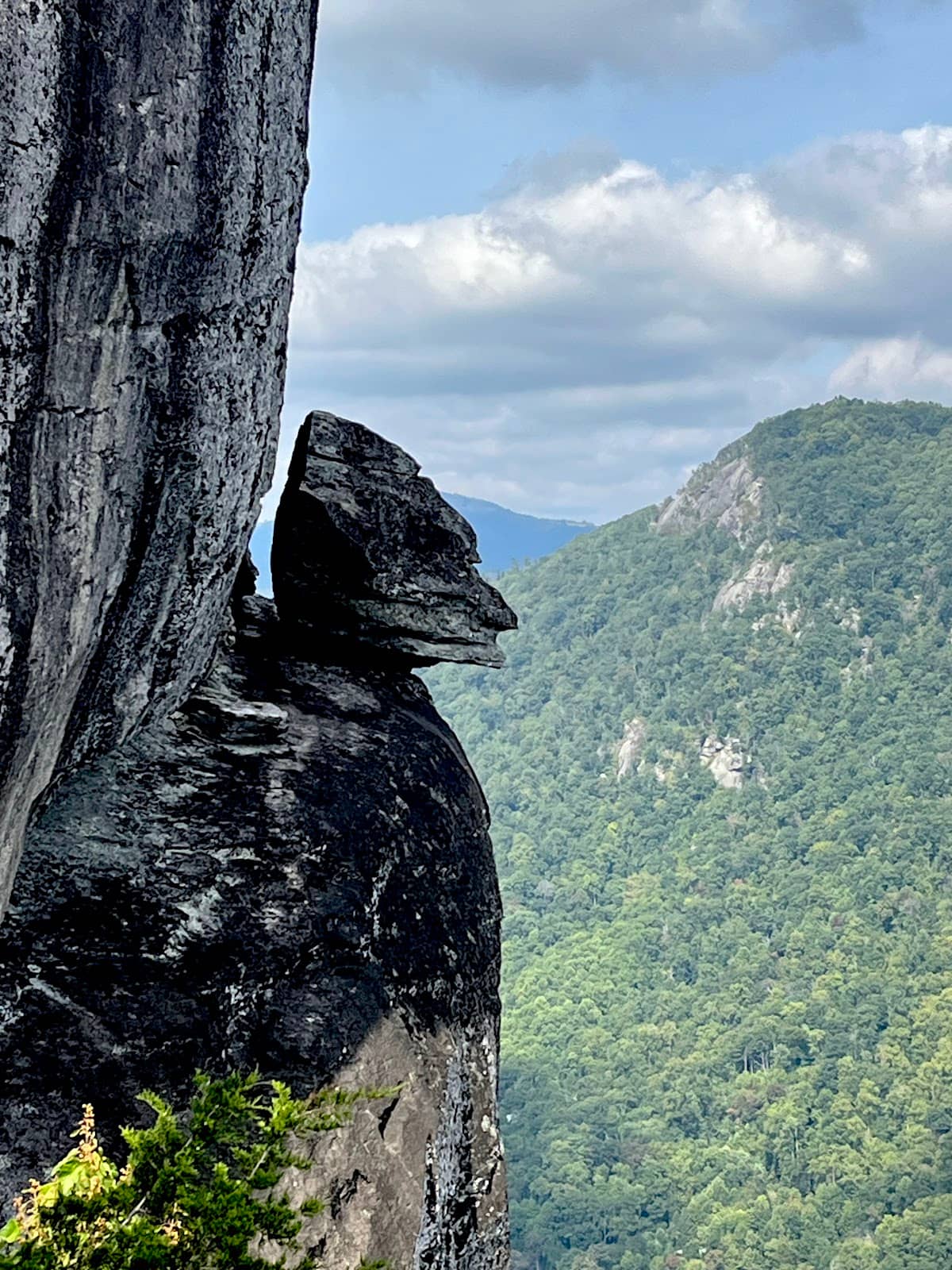 Historic Fire Lookout