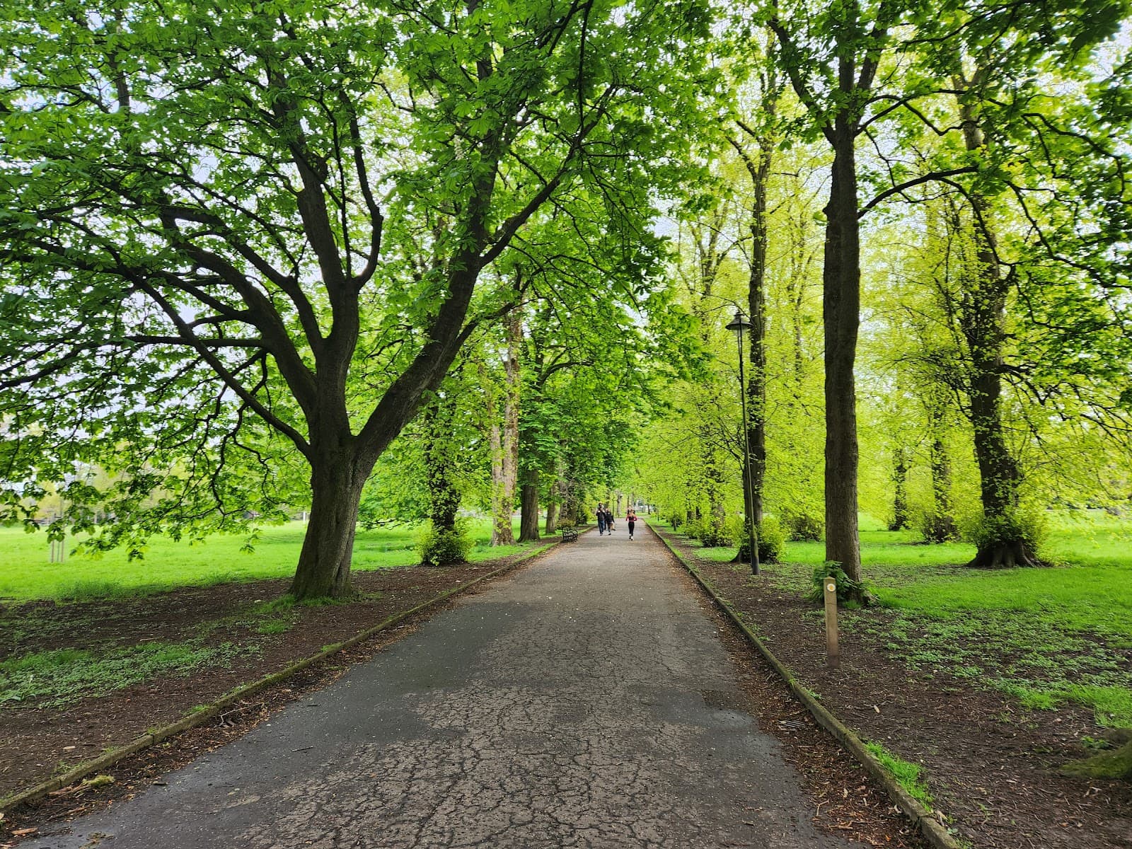 Longford Park - Image 1