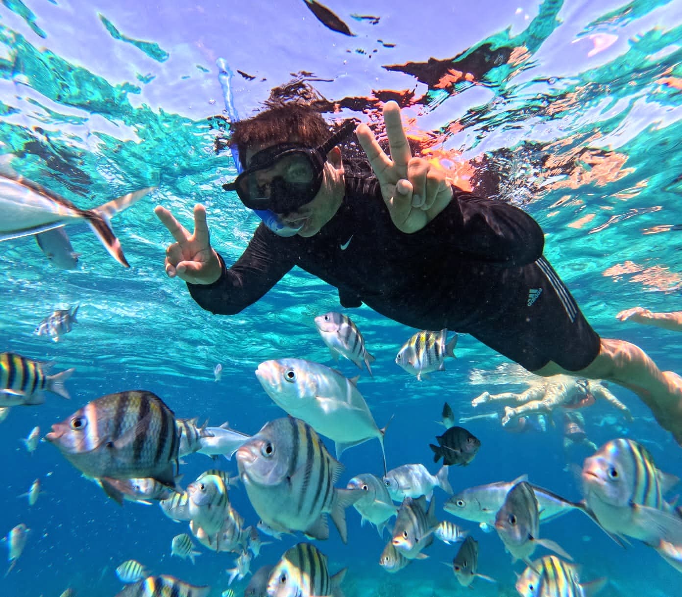 Palancar Reef Cozumel - Image 1