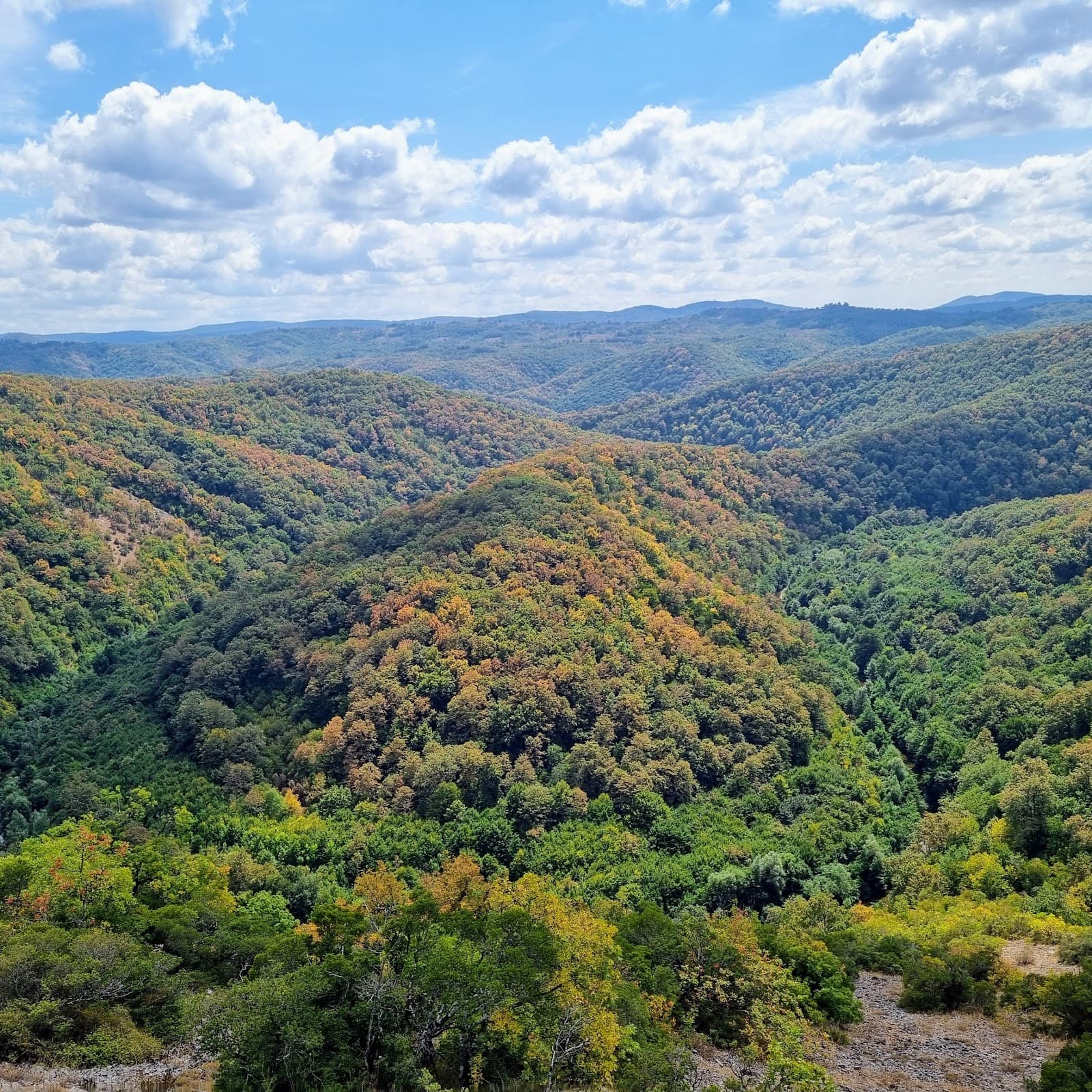 Strandzha Nature Park - Image 1