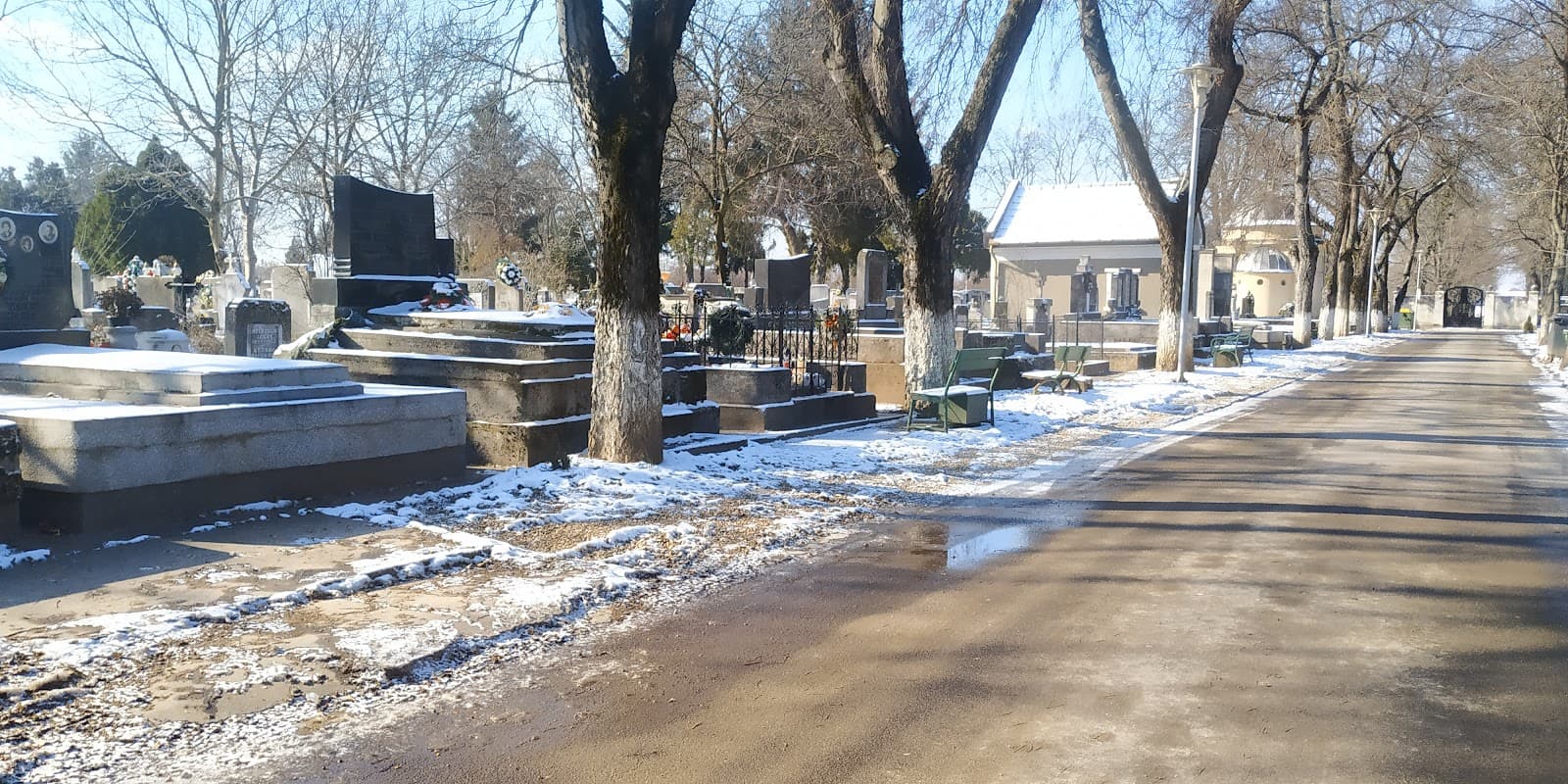 Rulikowski Cemetery - Image 1